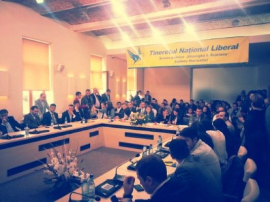 Liberali constănţeni, la Şcoala Politică 